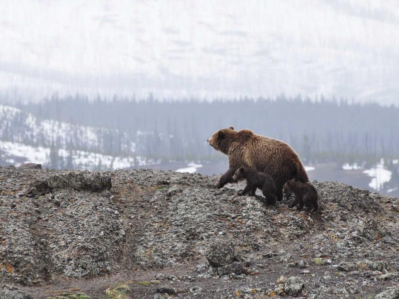 胶囊衣橱<br>warnesu.cn 33件物品挑战